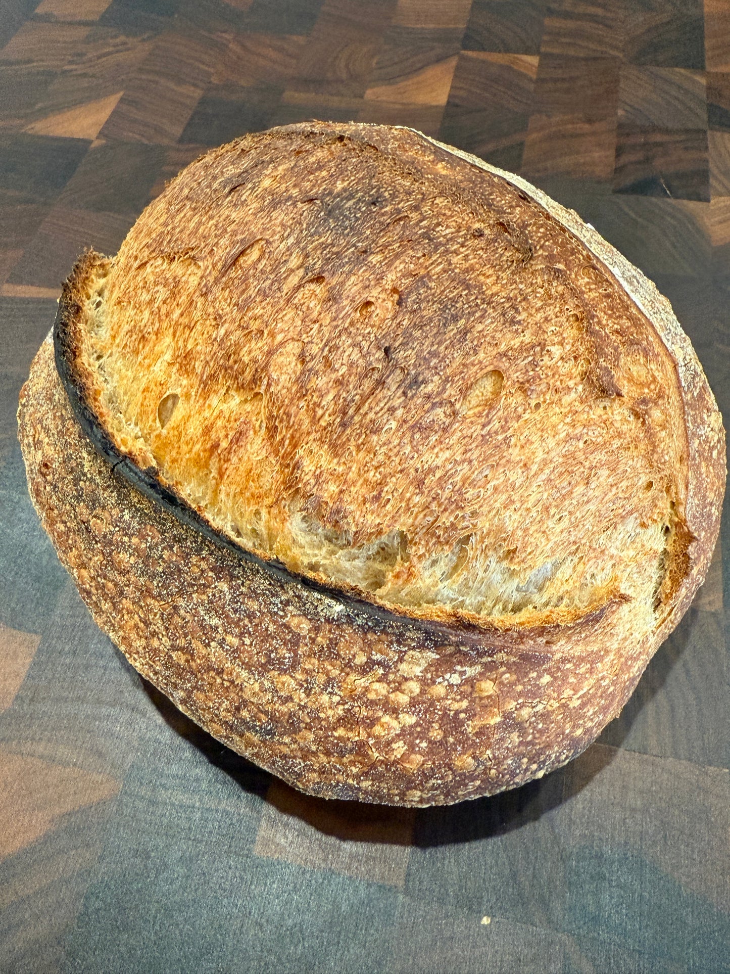 Rustico Sourdough