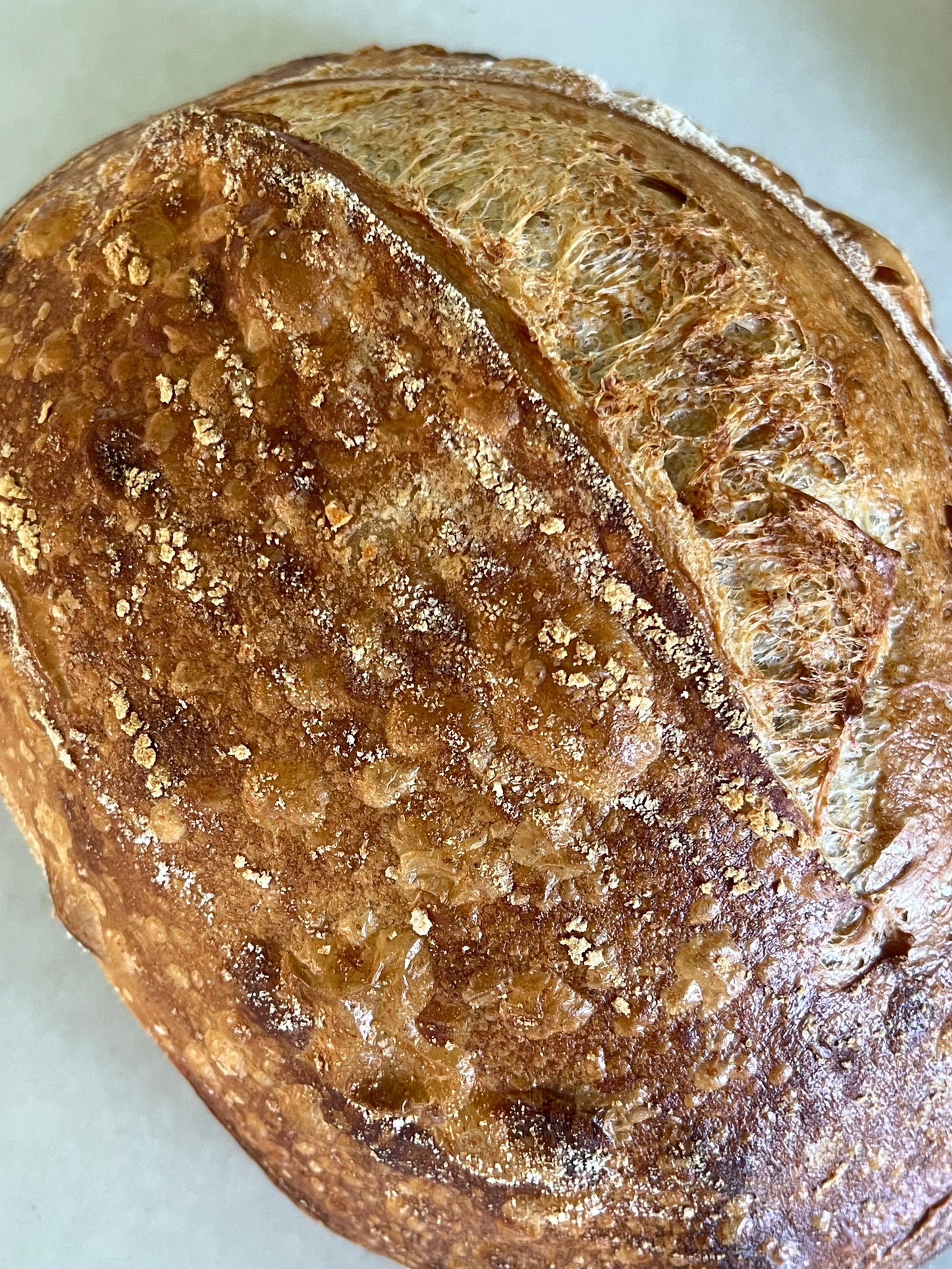 Whole Wheat Artisan Sourdough