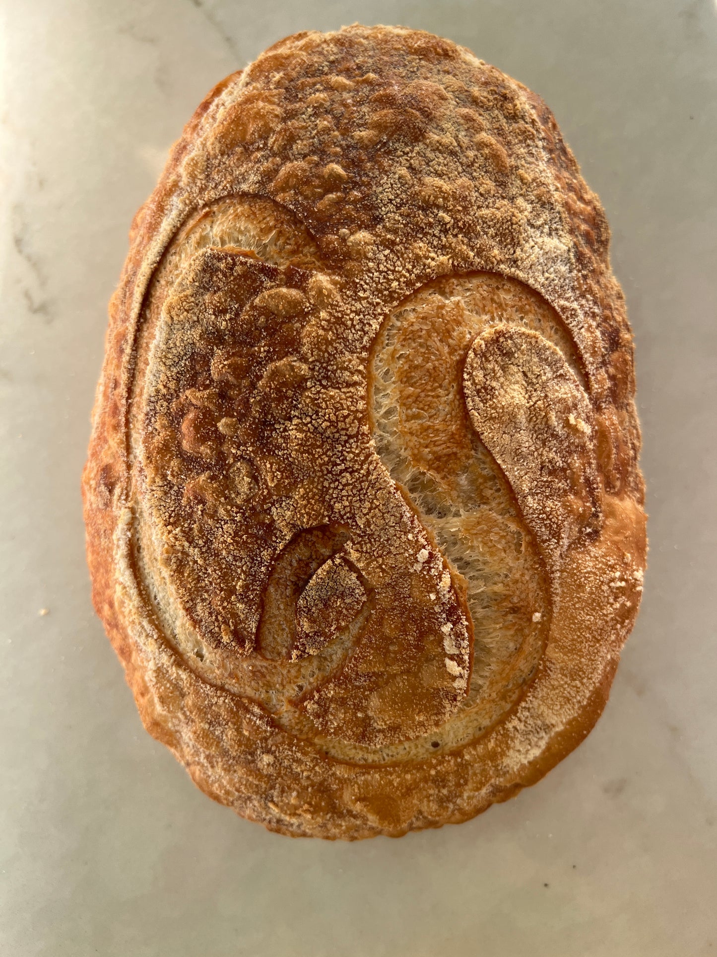 Garlic Asiago Polenta Artisan Sourdough