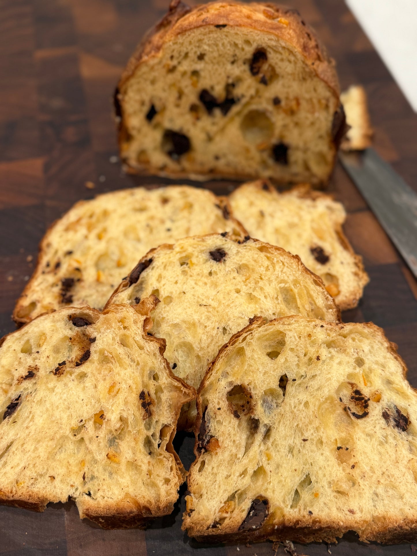 Artisan Panettone
